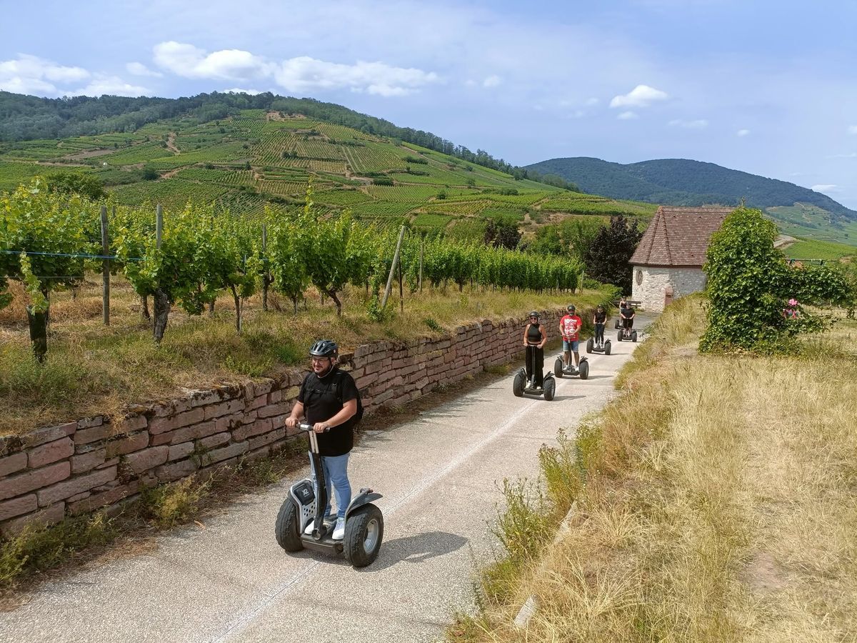 Team building en Segway dans le vignoble alsacien